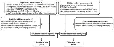 Development and evaluation clinical-radiomics analysis based on T1-weighted imaging for diagnosing neonatal acute bilirubin encephalopathy